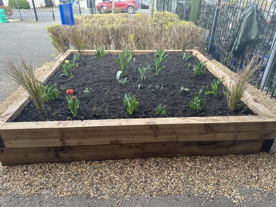 Sarum plants help create our new flower bed